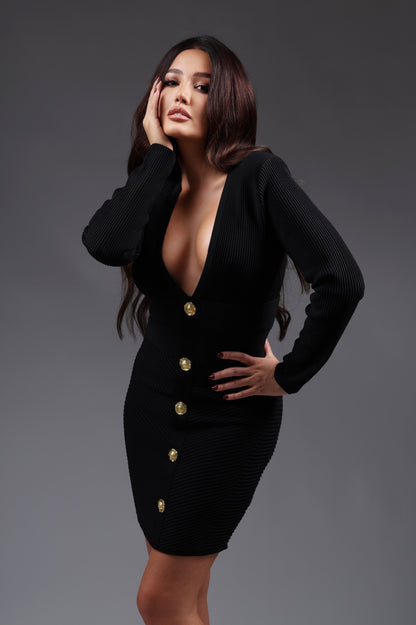 No Introduction Needed Dress